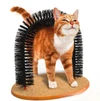 Self Grooming Cat Brush Arch with Scratcher & Catnip – Purrfect Arch Massager