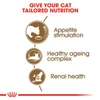 Royal Canin Ageing +12 Dry Food for cats 2kg