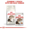 Royal Canin Ageing +12 Dry Food for cats 2kg