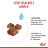 Royal Canin Babycat Dry Food 2 kg