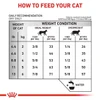 Royal Canin Urinary S/O Dry Cat Food – Urinary Health 3.5kg 