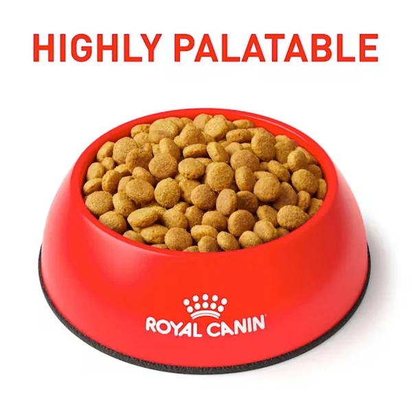 Royal Canin Urinary S/O Dry Cat Food – Urinary Health 3.5kg 