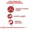 Royal Canin Fit Cat Food 15kg