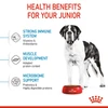 Royal Canin Giant Junior Dog Food 15 Kg