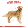 Royal Canin - Golden Retriever Adult Dry Food 3kg