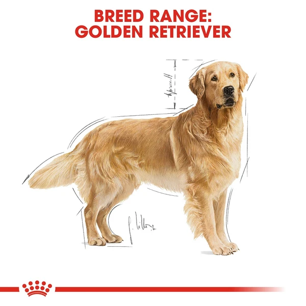 Royal Canin - Golden Retriever Adult Dry Food 3kg