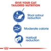 Royal Canin Indoor 27 Adult Cat Dry Food 2kg
