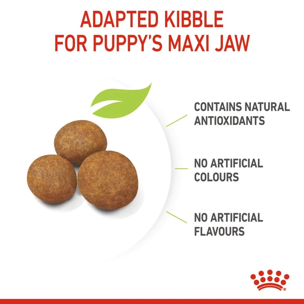 Royal Canin Maxi Puppy (16 KG) – Dry food for large dogs – Adult weight from 26 to 44 KG. From 2 to 15 months.