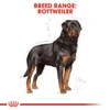Royal Canin Rottweiler Adult Dry Food 17kg
