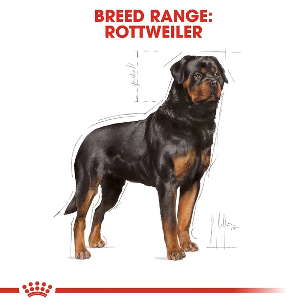 Royal Canin Rottweiler Adult Dry Food 17kg