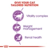 Royal Canin Sterilised +7 Cat Food (1.5 kg)