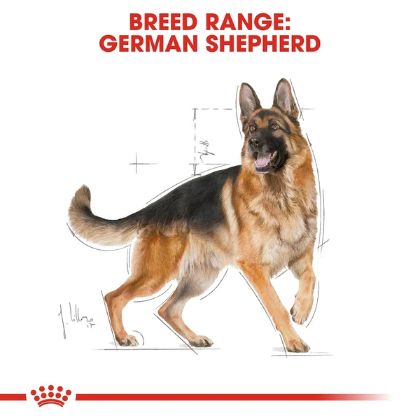 Royal Canin German Shepherd Adult 3kg