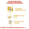 Royal Canin German Shepherd Adult 3kg