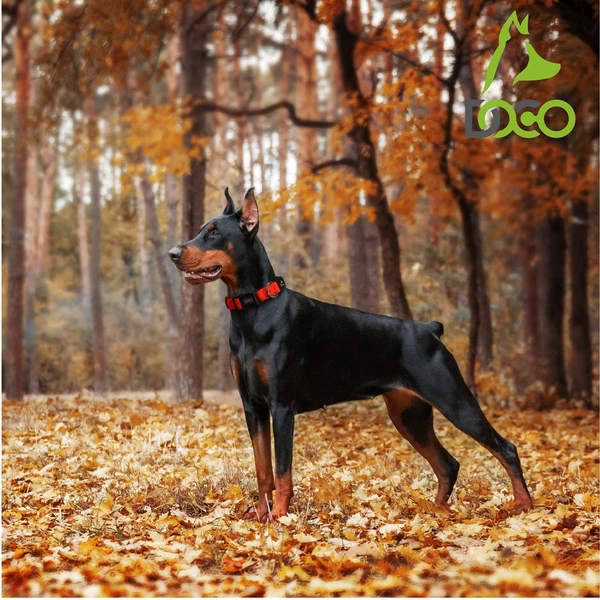 Doco Puff Mesh Dog Collar Medium (2.5 X 34-49cm)