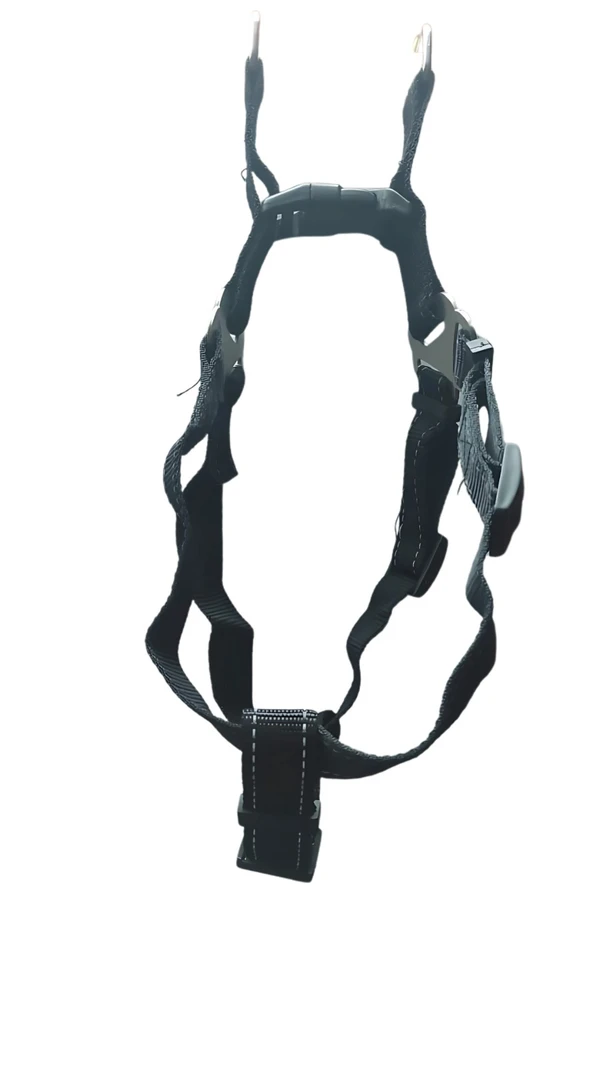 Sport Dog Harness Set Small