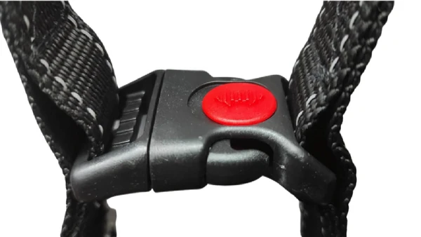 Sport Dog Harness Set Small