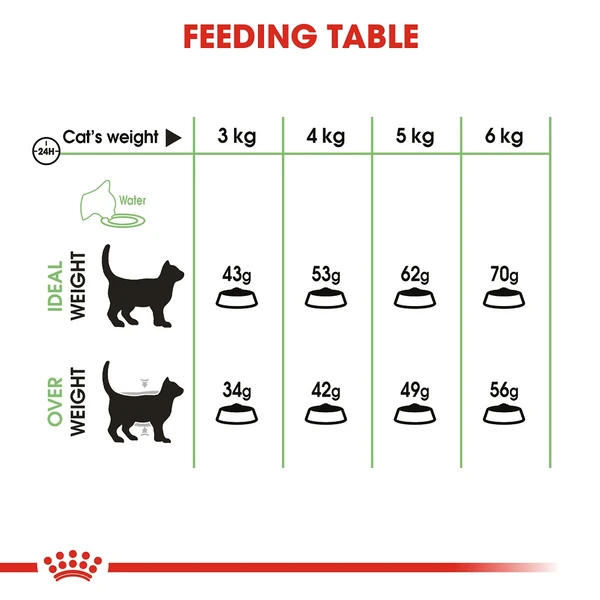 Royal Canin Digestive Care Cat Dry Food 2kg 
