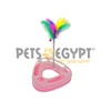 FM Pet toy crazy tour music disc (Triangle shape)