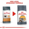 Royal Canin Hair & Skin Cat Dry Food 10 kg + 3 Pouch Royal Canin Hair & Skin Care Gravy 85g Free