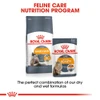 Royal Canin Hair & Skin Cat Dry Food 10 kg + 3 Pouch Royal Canin Hair & Skin Care Gravy 85g Free