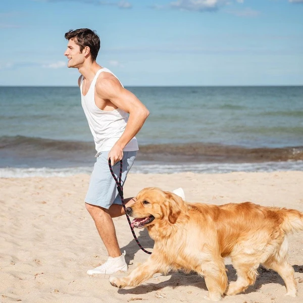 Doco Reflective Rope Leash Lock Snap Large (13mm x 150cm)