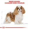 Royal Canin Cavalier King Charles 3 Kg 