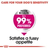 Royal Canin Mini Exigent Dog Dry Food 3 Kg
