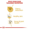 Royal Canin Bulldog Adult 3 kg