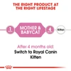 Royal Canin Babycat Dry Food 4 kg