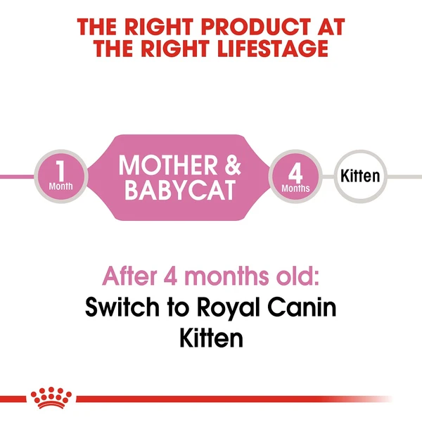 Royal Canin Babycat Dry Food 4 kg
