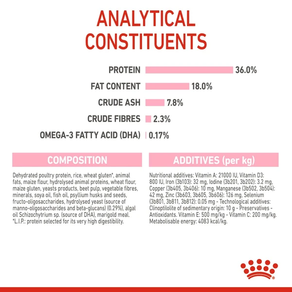 Royal Canin Kitten Dry Food 10 kg 