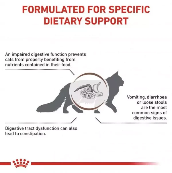 Royal Canin - Fibre Response Cats Dry Food 4kg