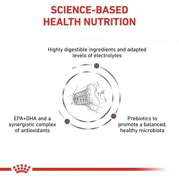 Royal Canin - Fibre Response Cats Dry Food 4kg
