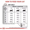 Royal Canin - Fibre Response Cats Dry Food 4kg