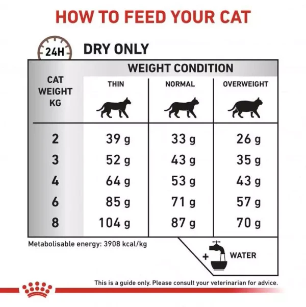 Royal Canin - Fibre Response Cats Dry Food 4kg