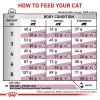 Royal Canin Early Renal Dry Cat Food 1.5kg