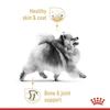 Royal Canin Pomeranian Adult Dry Dog Food 1.5 Kg