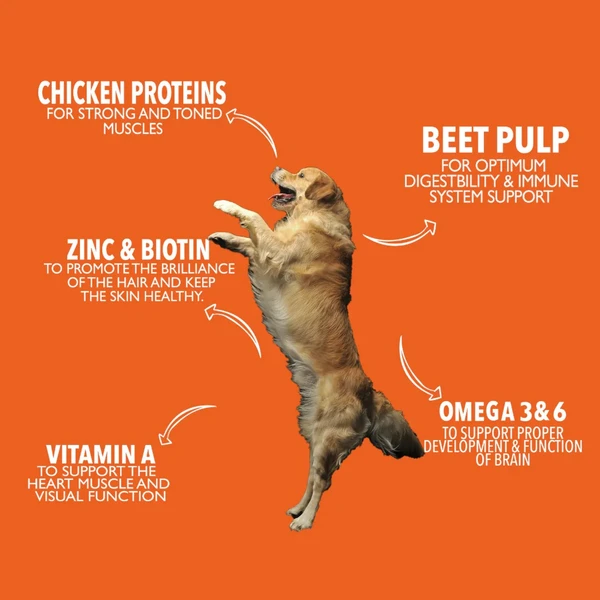 Legends Wholesome Chicken Adult Dogs Dry Food 15 Kg