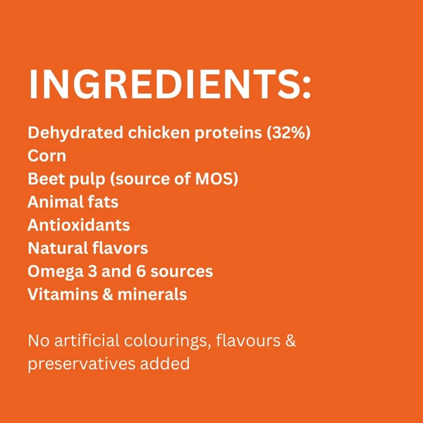 Legends Wholesome Chicken Adult Dogs Dry Food 15 Kg