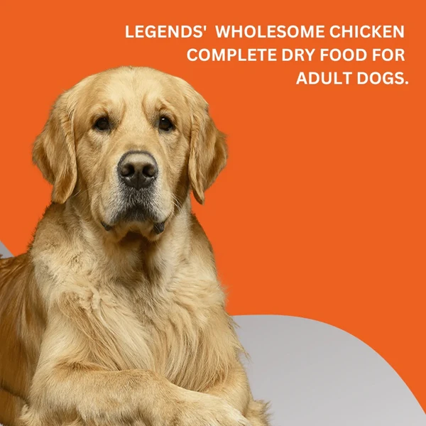 Legends Wholesome Chicken Adult Dogs Dry Food 10 Kg
