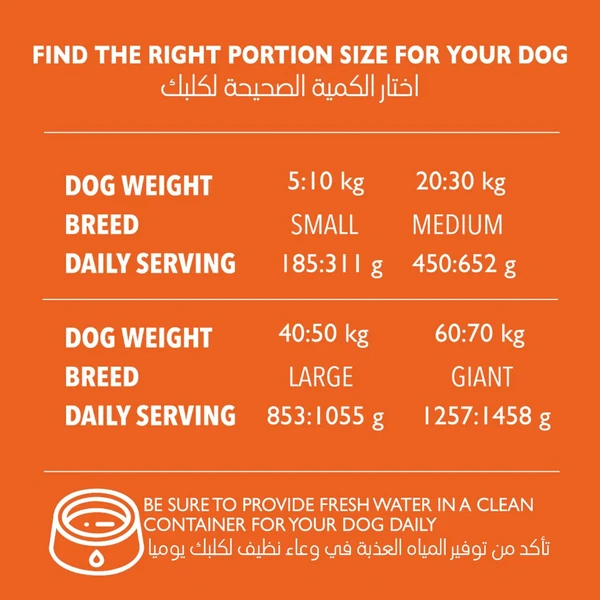 Legends Wholesome Chicken Adult Dogs Dry Food 10 Kg