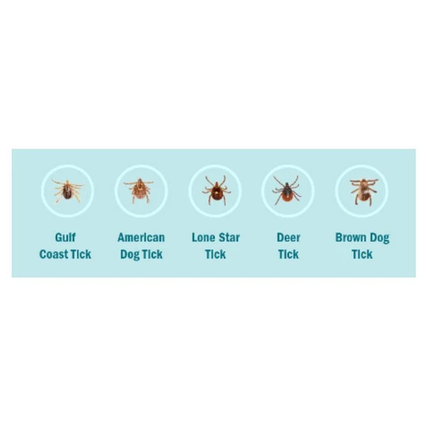 Simparica Trio Chewable Tablet for Dogs (2.5 - 5 Kg) X 1 Tablet 