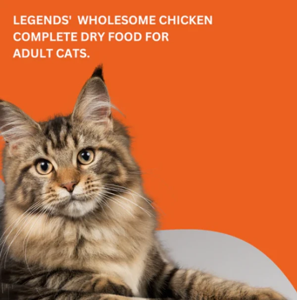 Legends Wholesome Chicken Adult Cats Dry Food 1 Kg