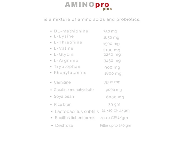 Pti Amino Pro Plus Organic Ingredient for Dogs 250 gm