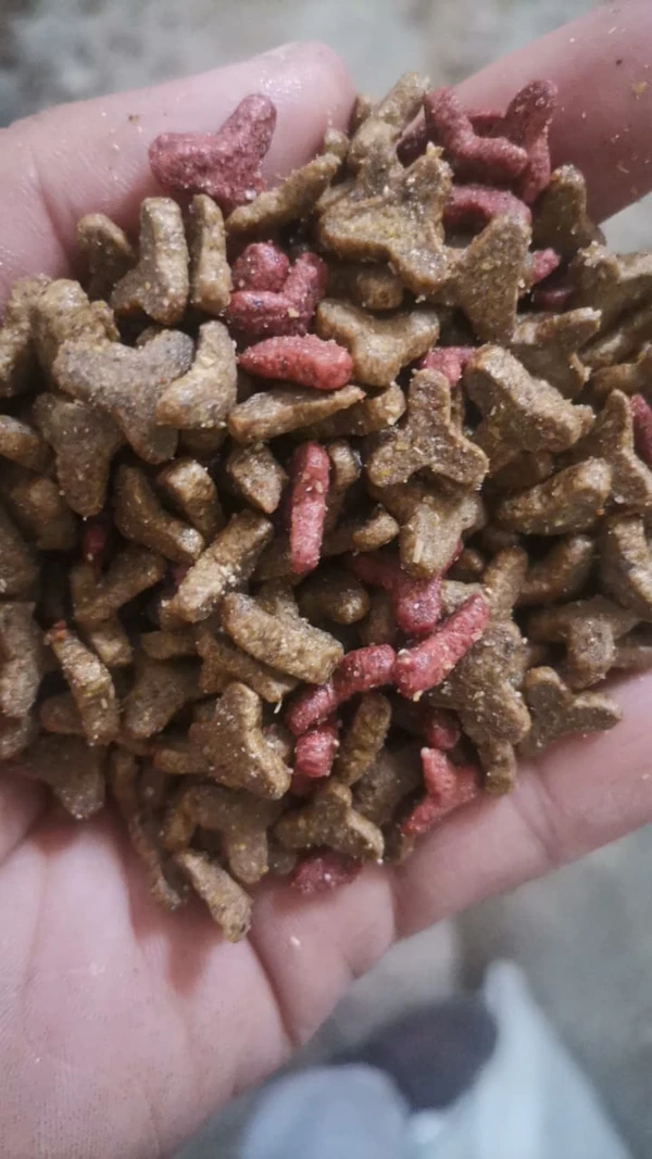 Decatoo Mix Adult Cats Dry Food 10Kg 