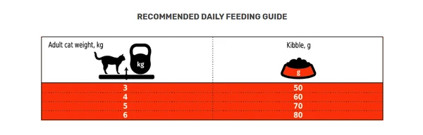 CLUB 4 PAWS Premium Sensitive Digestion With Chicken Adult Cats Dry Food 2 Kg