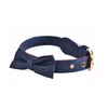 Naomi jeans Dog collar With Pepion medium Blue (YL103827-M)