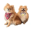 Petmoda Dog Bandana Medium - Fruits