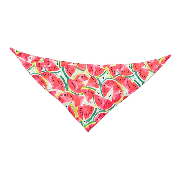 Petmoda Dog Bandana Large - Watermelon
