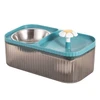 Automatic Flower Cat Water Fountain & Stainless Steel Food Bowl 3L, Ultra Quiet water dispenser with smart pump.